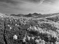Beskid Niski